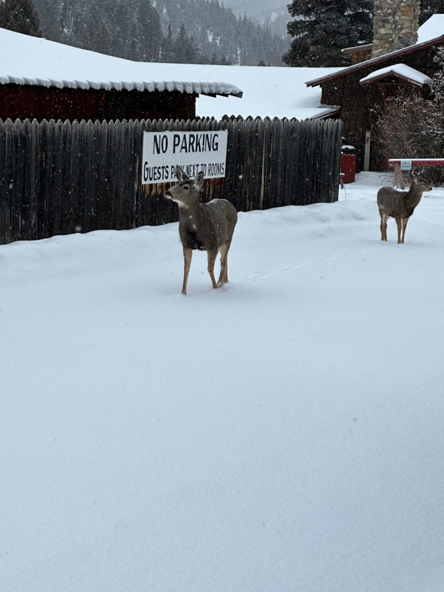 Deer Lodge Red River Exterior foto