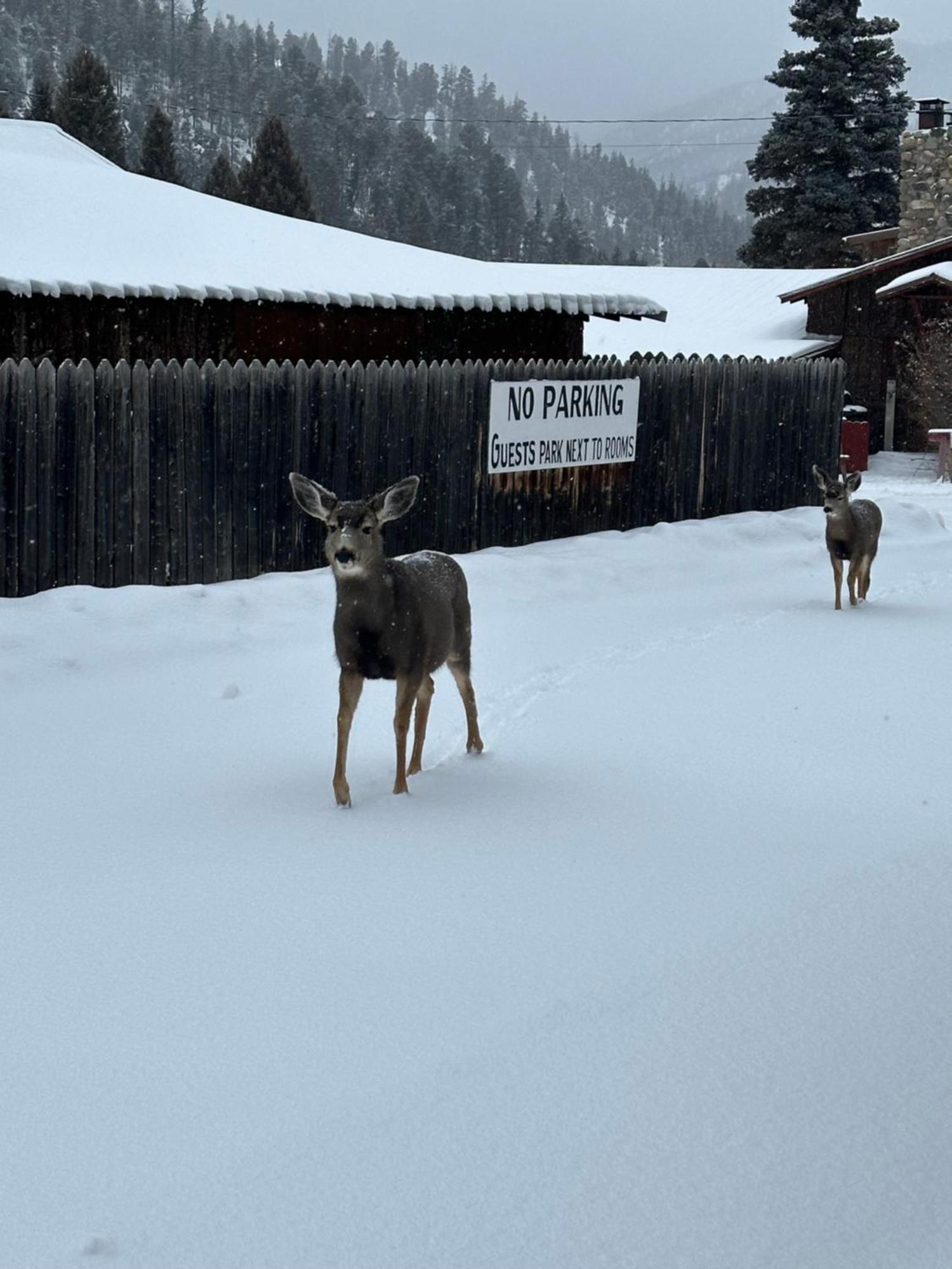 Deer Lodge Red River Exterior foto